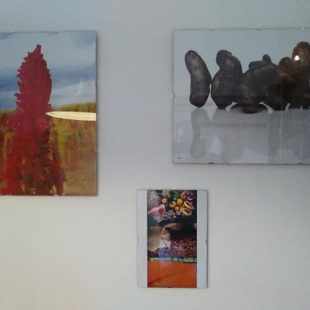 Lingotto מלון דירות 3*