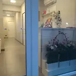 アパートホテル Lingotto 3*